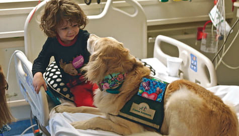 Patient with a therapy dog. 